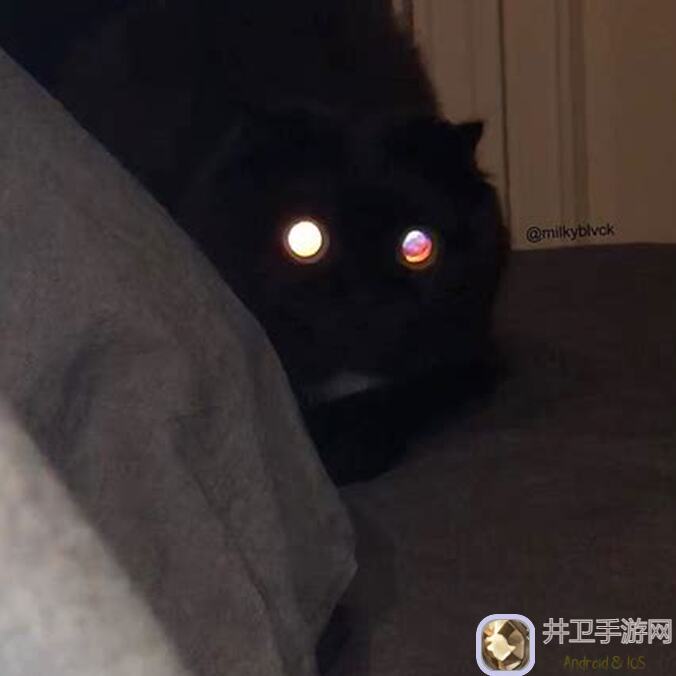 异世轮回录：揭秘猎人早死的阴谋论，你真的了解真相吗？